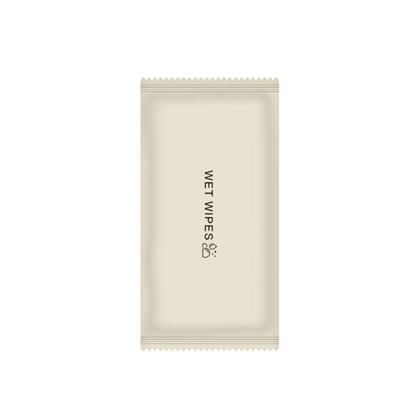 Wipes for Camping